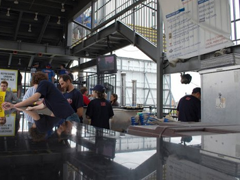 Skybox on Sheffield in Wrigleyville | BarsChicago.com